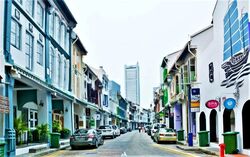 Amoy Street (D1), Shop House #594018971